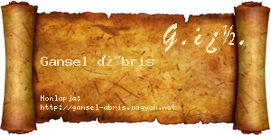 Gansel Ábris névjegykártya